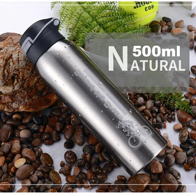 500ml Insulated Stainless Steel Water Bottle with Straw