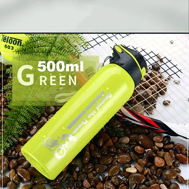 500ml Insulated Stainless Steel Water Bottle with Straw
