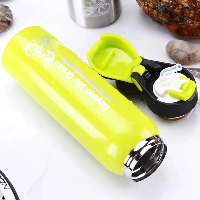 500ml Insulated Stainless Steel Water Bottle with Straw