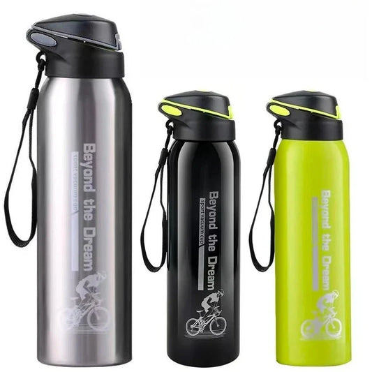 500ml Insulated Stainless Steel Water Bottle with Straw